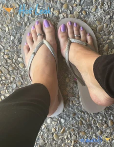 11554665