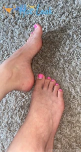 11646387