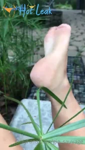 11632484