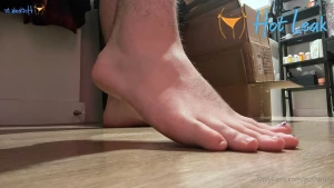 11547260