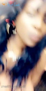 10851693