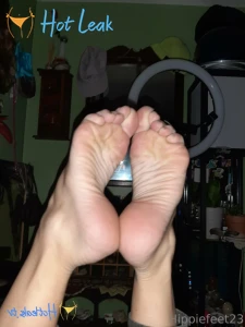11918667