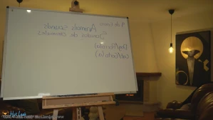 11045443
