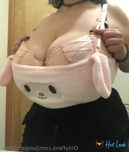 11208509