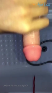 2535779