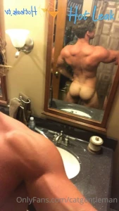 11485732