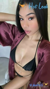 11608239