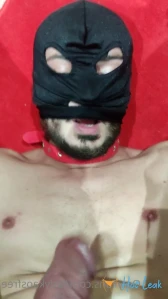 10956304
