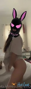 11160841