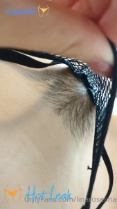 11820627