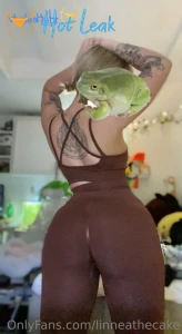 11497848
