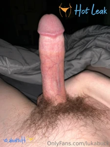 11933040