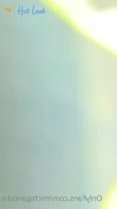 11041697