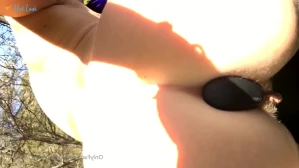 10993041