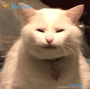 11482217