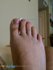 10982640