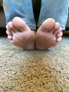 11522976