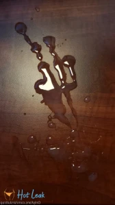 10956475
