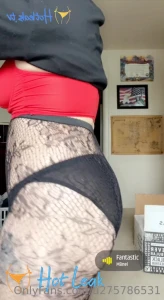 11877527
