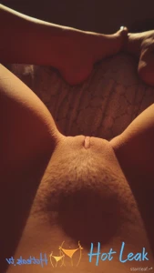 11847955