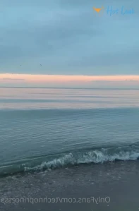 11067205