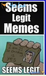 11527603