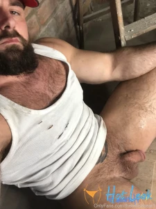 11803446