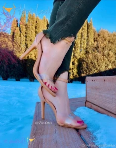 11892960