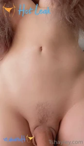 11881164