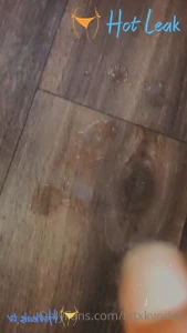 11729481