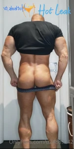 11445631