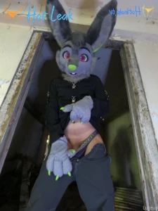 11457411