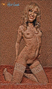 10888638