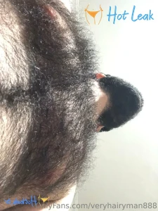 11529512