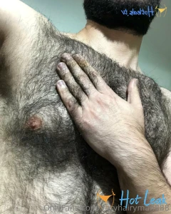 11703876