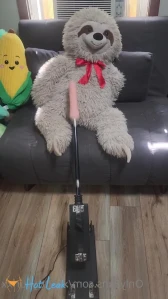 10852603