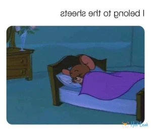 4618182