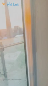 2538276