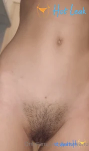 11911355