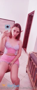 10858244