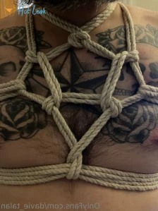 10954165
