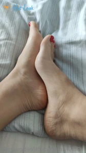 11028274