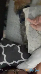 11355073