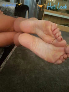 11595549