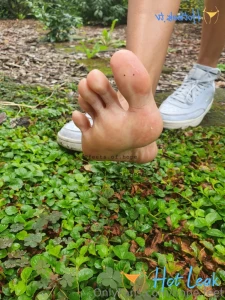 11614386