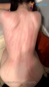 11352818
