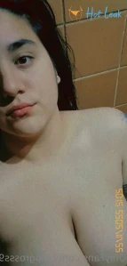 11261704