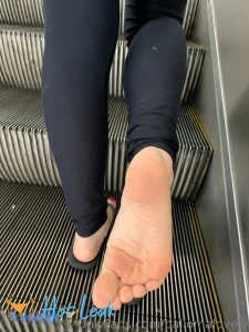11889141