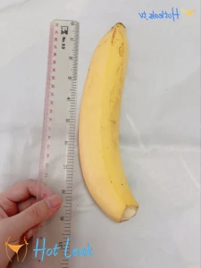 11797338