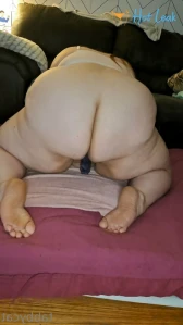 11269154